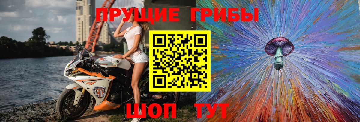Галлюциногенные грибы Psilocybine cubensis  Вход с VPN  Валуйки 